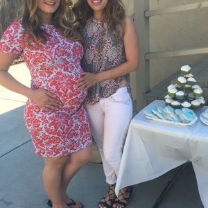 PinkBlush Aqua Red fitted damask Maternity Dress